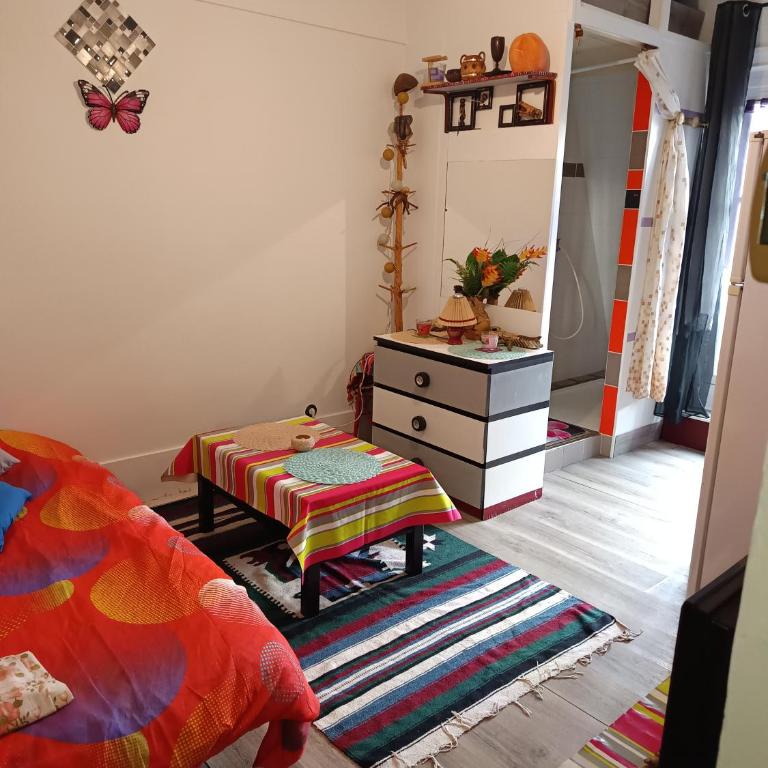 Charmant Studio à Nation Paris 11e arrondissement - Appartement 1 Chambre - 18