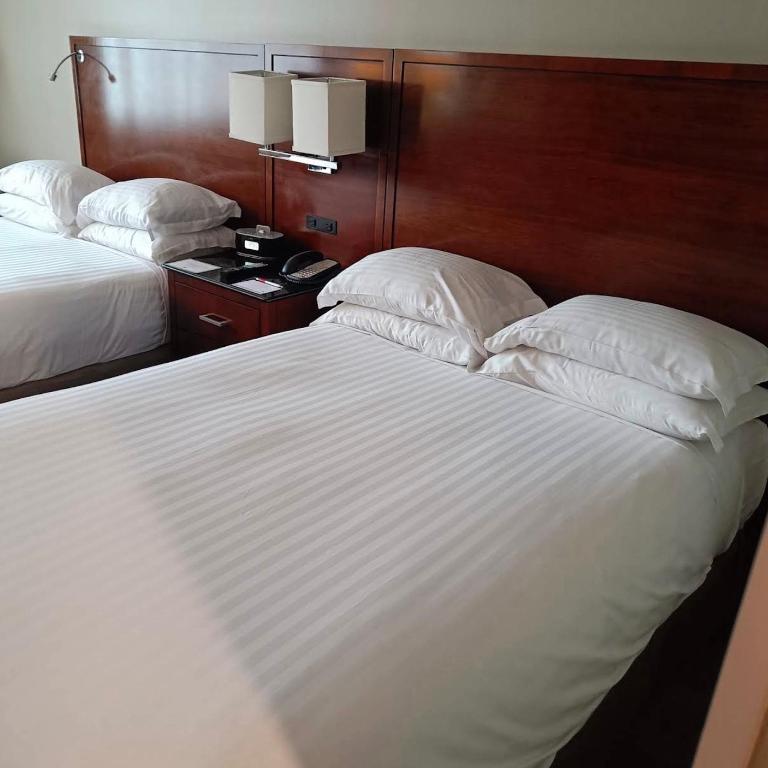 Zafiro Palace CDMX - Apartamento de 1 dormitorio - 3