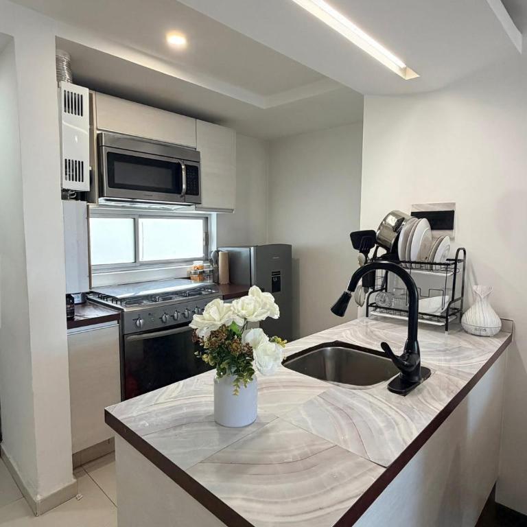 Zafiro Palace CDMX - Apartamento de 1 dormitorio - 4