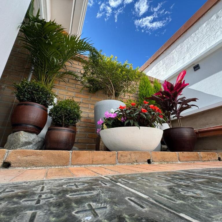 Loft in a Colonial House with Private Terrace - Apartamento de 2 dormitorios - 15