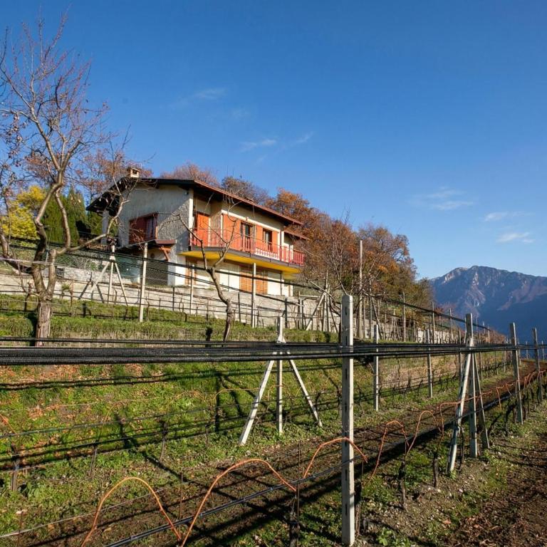 Balcone Panoramico sul Garda - Happy Rentals - Appartamento con Balcone - 10
