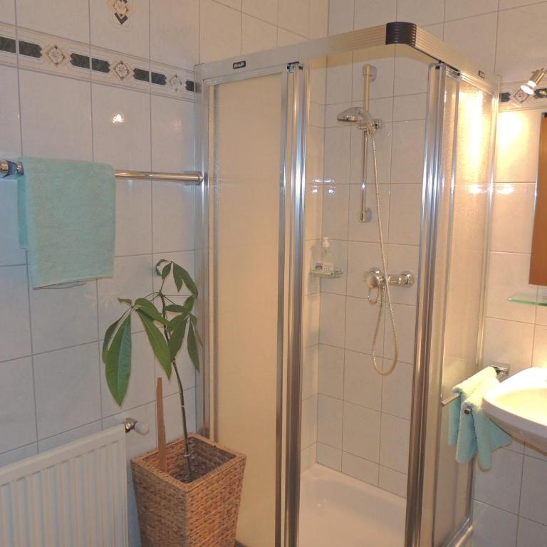 Haus Bergfried - One-Bedroom Apartment - 5