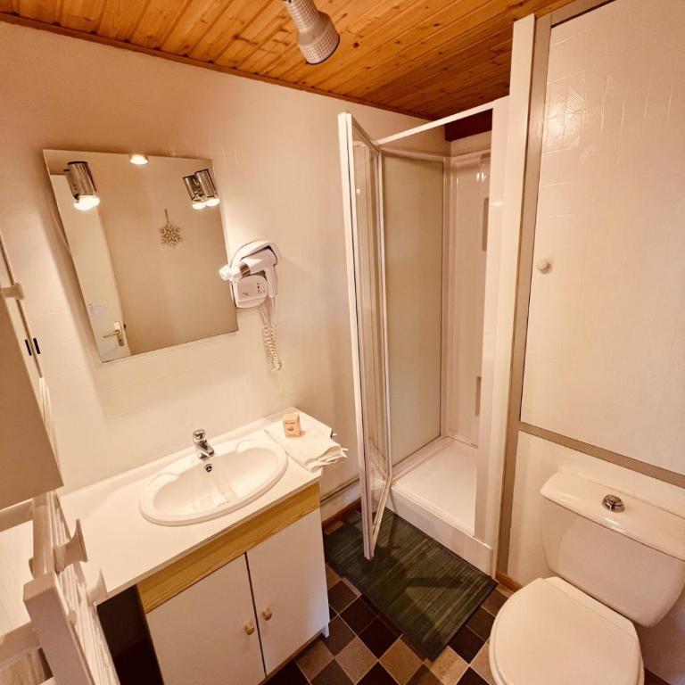 Duplex apartment facing the lake of Gérardmer - Appartement - 10