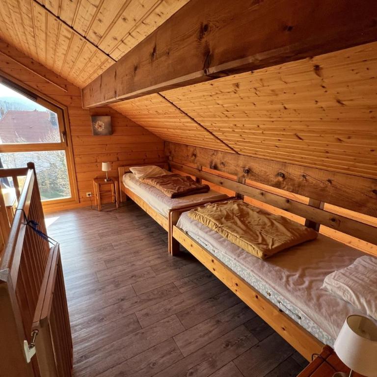 Duplex apartment facing the lake of Gérardmer - Appartement - 20