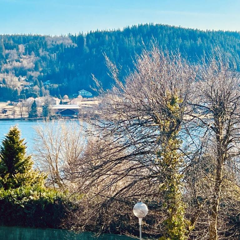Duplex apartment facing the lake of Gérardmer - Appartement - 27