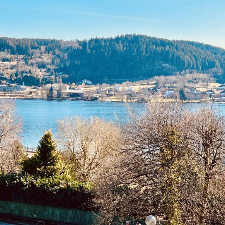 Duplex apartment facing the lake of Gérardmer - Appartement - 29