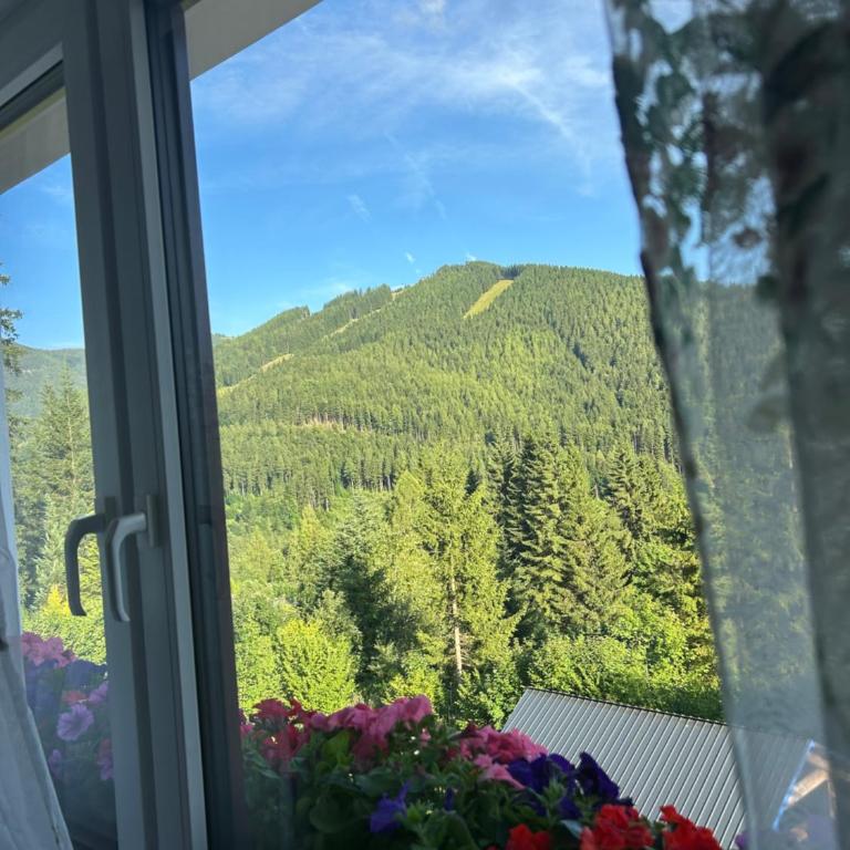Villa Natalie - Panorama Apartment mit Bergblick, Semmering - Apartment mit 1 Schlafzimmer - 11