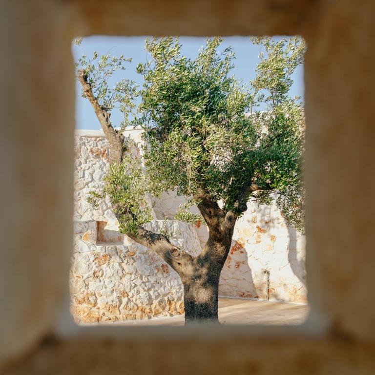 Slow Trullo - Puglia Slow Stay - Three-Bedroom Villa - 9