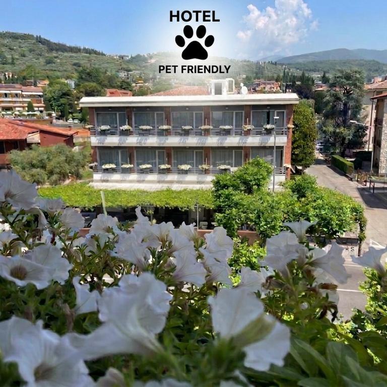 Hotel Benaco Garda ***S - Camera Matrimoniale/Doppia con Letti Singoli - 1