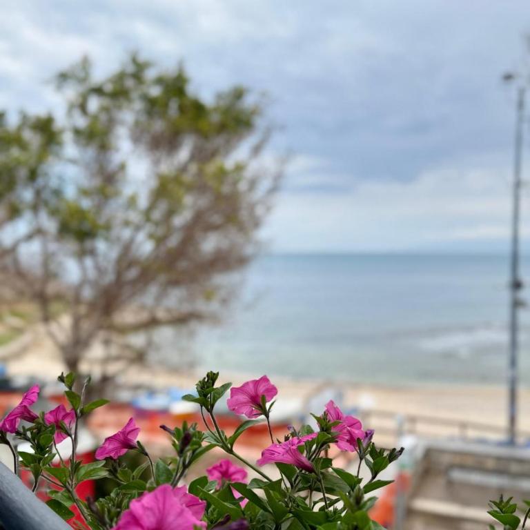 Casa Mariuccia Beachfront - Two-Bedroom House - 2