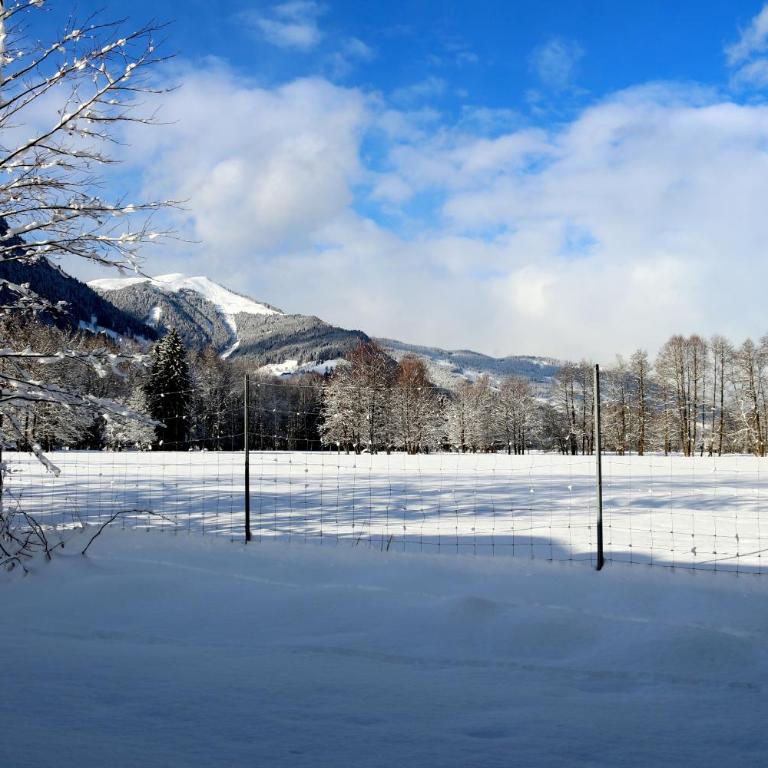 Appartements Prielau by we rent, SUMMERCARD INCLUDED - Chalet mit 2 Schlafzimmern - 18