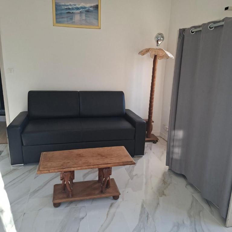 comfortable studio - Appartement 1 Chambre - 7