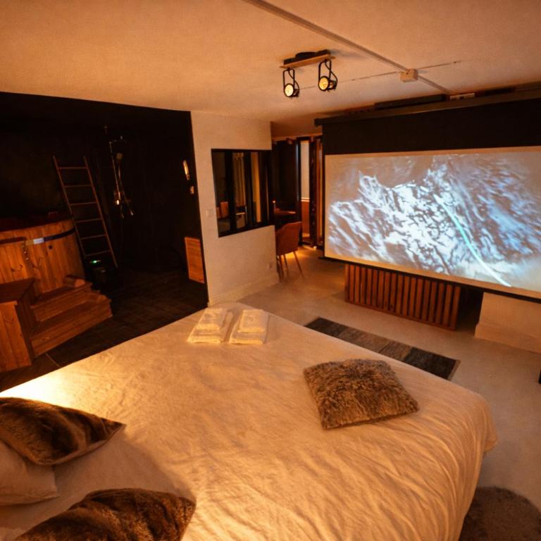 Suite premium Polaire, Jacuzzi & Cinéma - Appartement 1 Chambre - 5