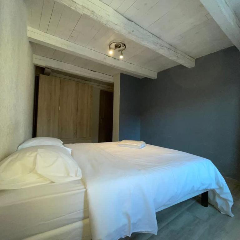 Le Rochois, T3 au centre - idéal pour une famille ou 2 couples - Appartement - 2