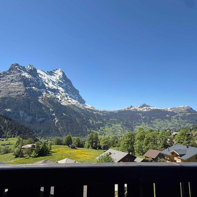 Mountain View Apartment in Grindelwald - Apartment - 25