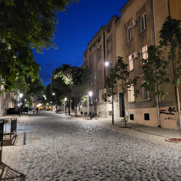 Skadarlija Viewpoint - Apartman sa 1 Spavaćom Sobom - 5