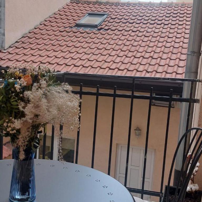 Skadarlija Viewpoint - Apartman sa 1 Spavaćom Sobom - 13