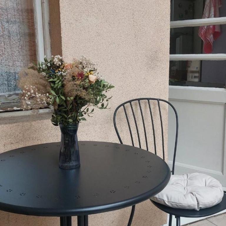 Skadarlija Viewpoint - Apartman sa 1 Spavaćom Sobom - 11