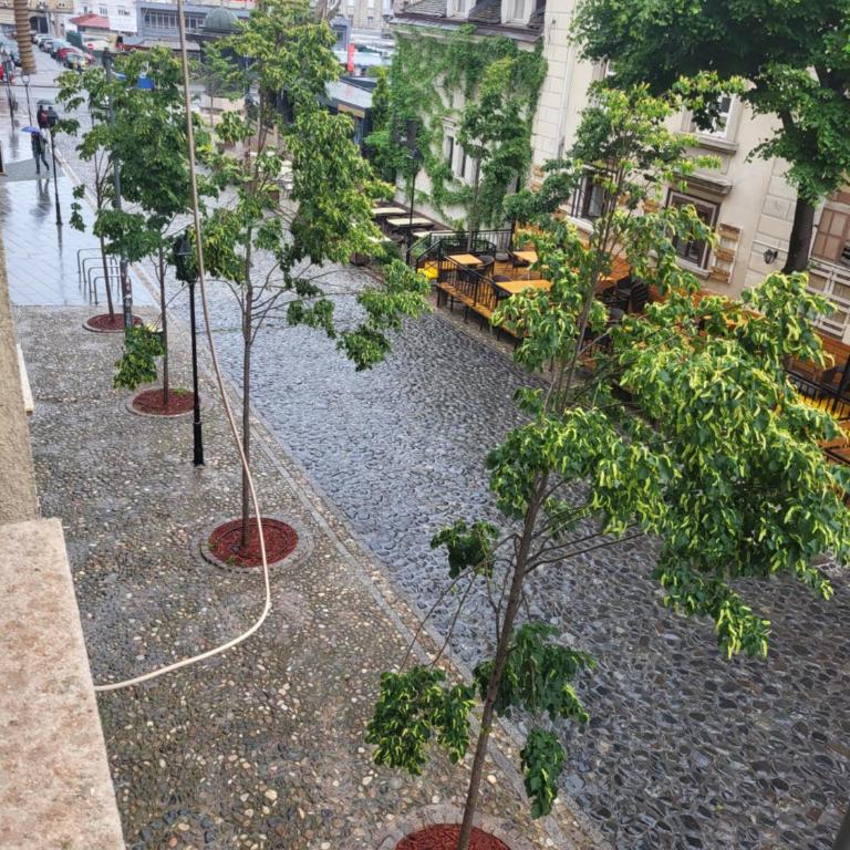 Skadarlija Viewpoint - Apartman sa 1 Spavaćom Sobom - 17