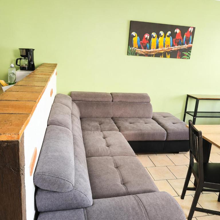 Cacatoès - Four-Bedroom House - 17