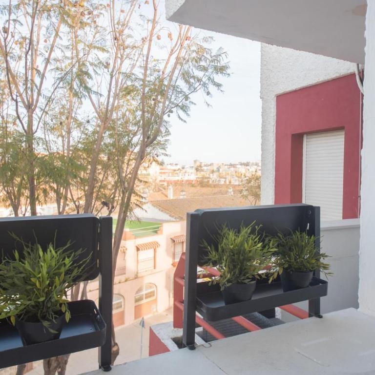 Piletas 55 - Apartamento de 1 dormitorio - 2