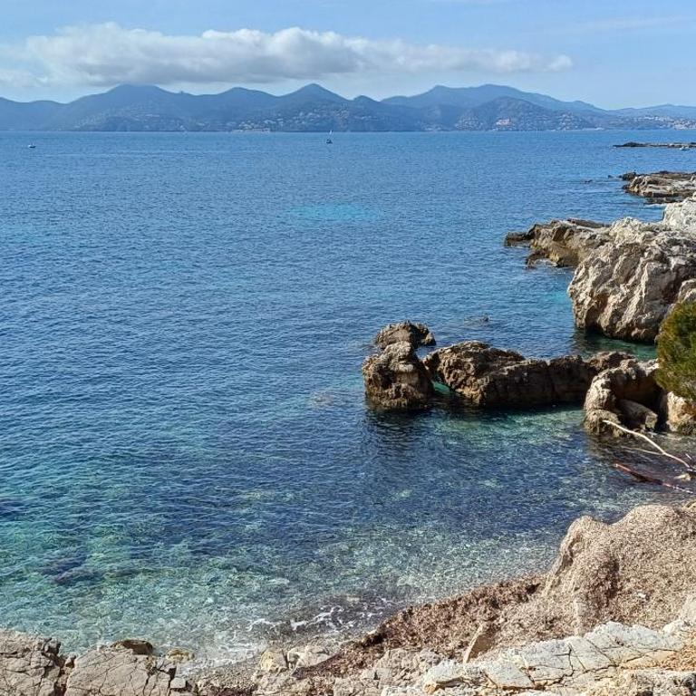 Tous à la piscine au BELVEDERE vue mer - Villa mit 2 Schlafzimmern - 73