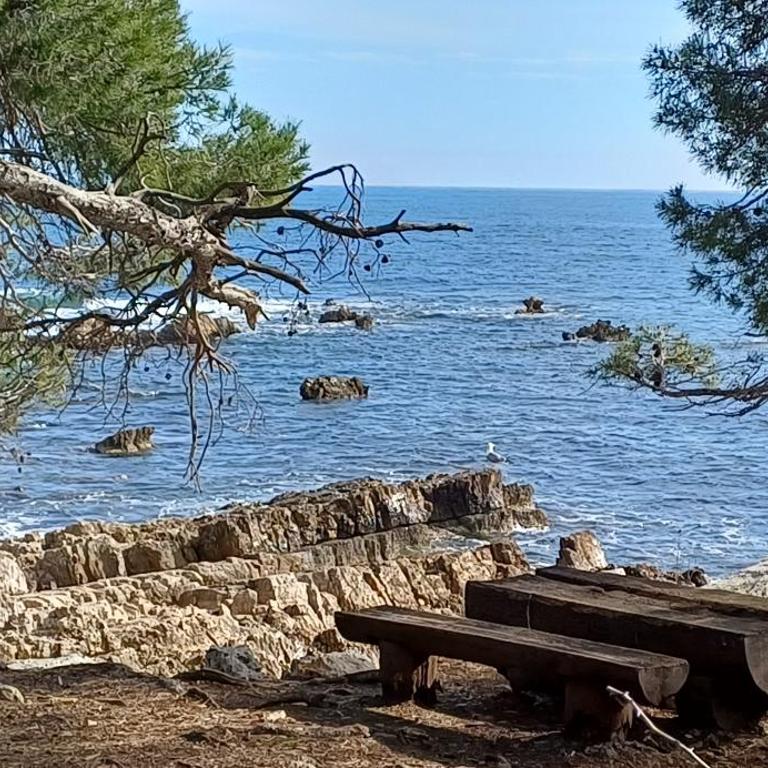 Tous à la piscine au BELVEDERE vue mer - Villa mit 2 Schlafzimmern - 75