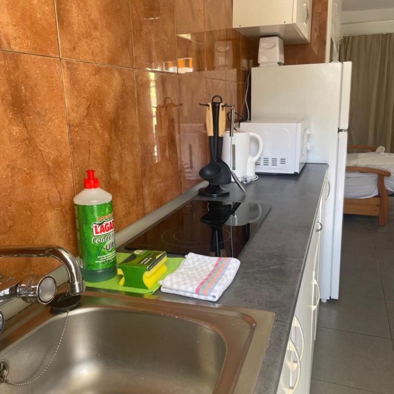 BERMUDAS-TURIS Apartamentos - Apartamento Estándar - 34