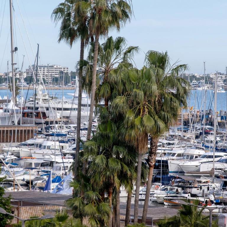 Appartement Suquet Cannes - Appartement avec Douche - 25
