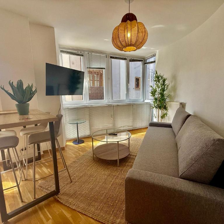 AtuaireHome Puerta a la Catedral de Burgos - Apartamento de 1 dormitorio - 3