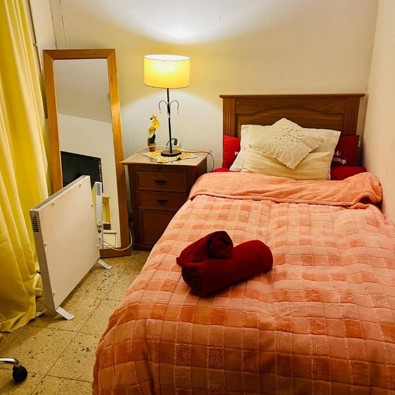 Roomies para viajeros ! Homestay ! - Single Room - 7