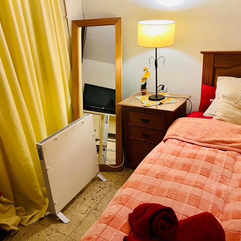 Roomies para viajeros ! Homestay ! - Single Room - 8