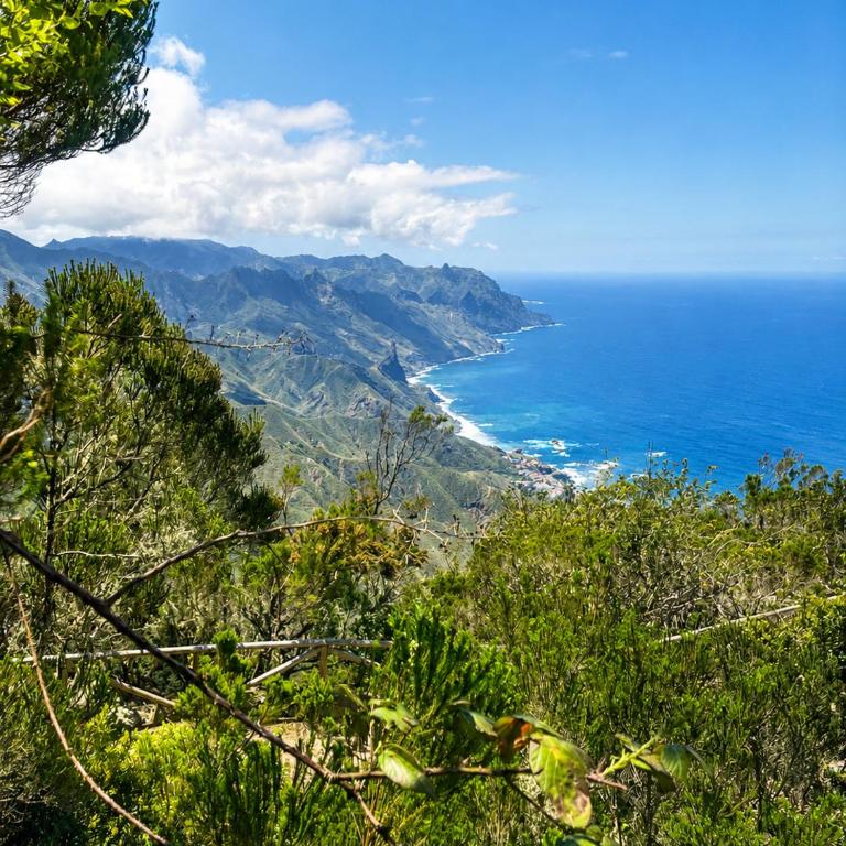 Seahorse Home - Amarilla Golf - Haus mit 3 Schlafzimmern - 40