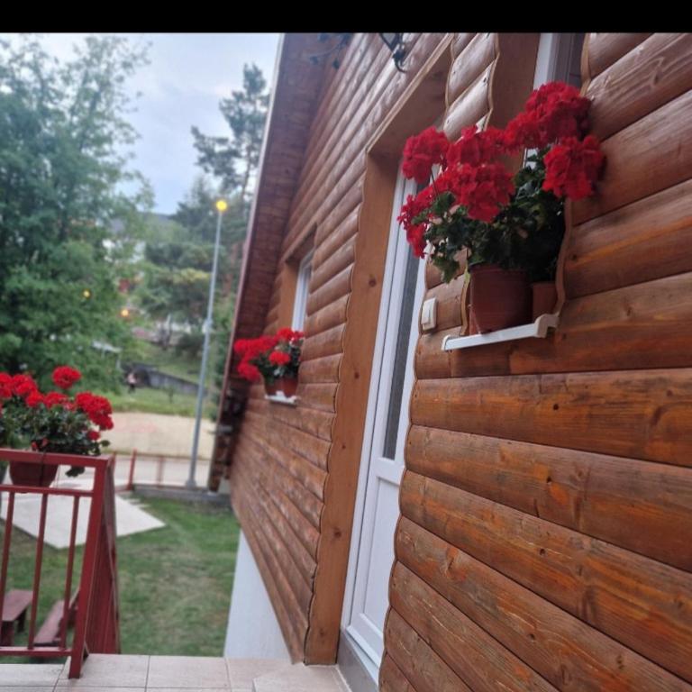 Apartments Grbović - Standard Studio - 2