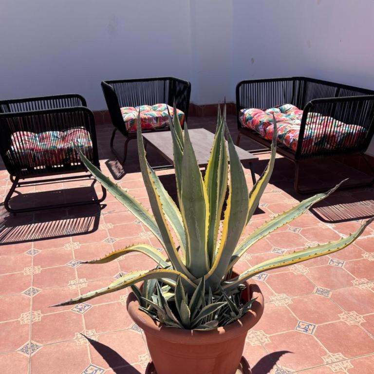 CASA TORRE Y MAR with 2 bedrooms pool barbecue patio & sun terrace - Casa de 2 dormitorios - 23