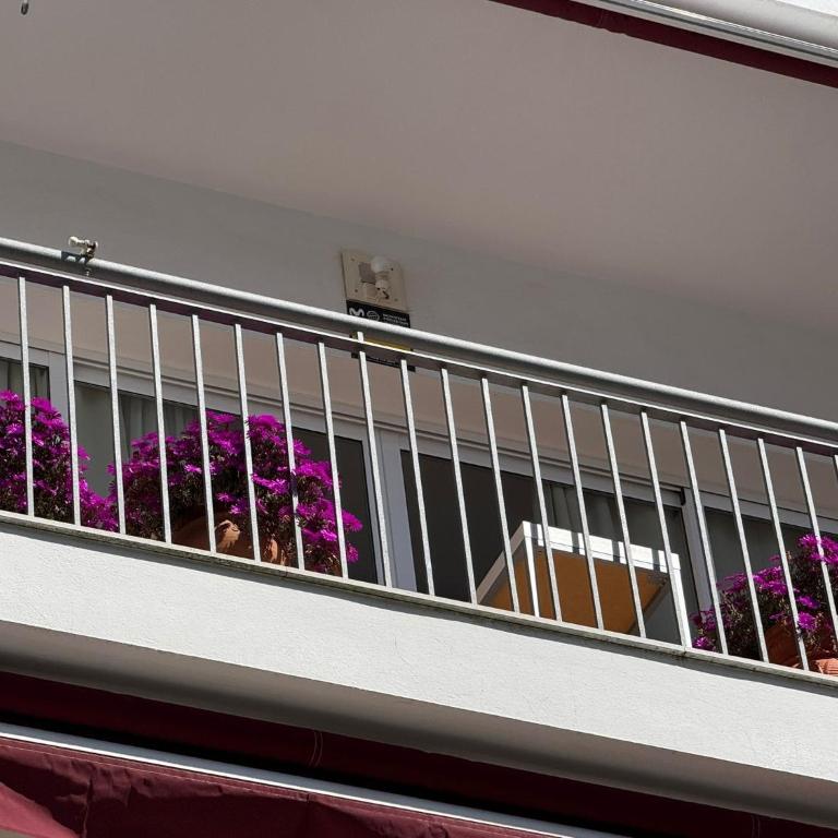 Apartamento céntrico con terraza - Appartement 1 Chambre - 24
