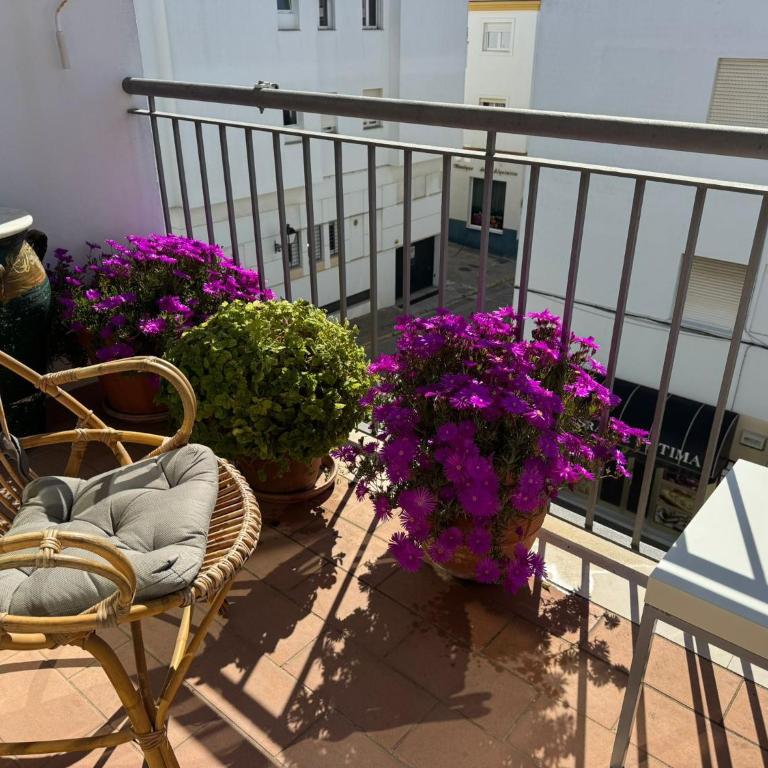 Apartamento céntrico con terraza - Appartement 1 Chambre - 27