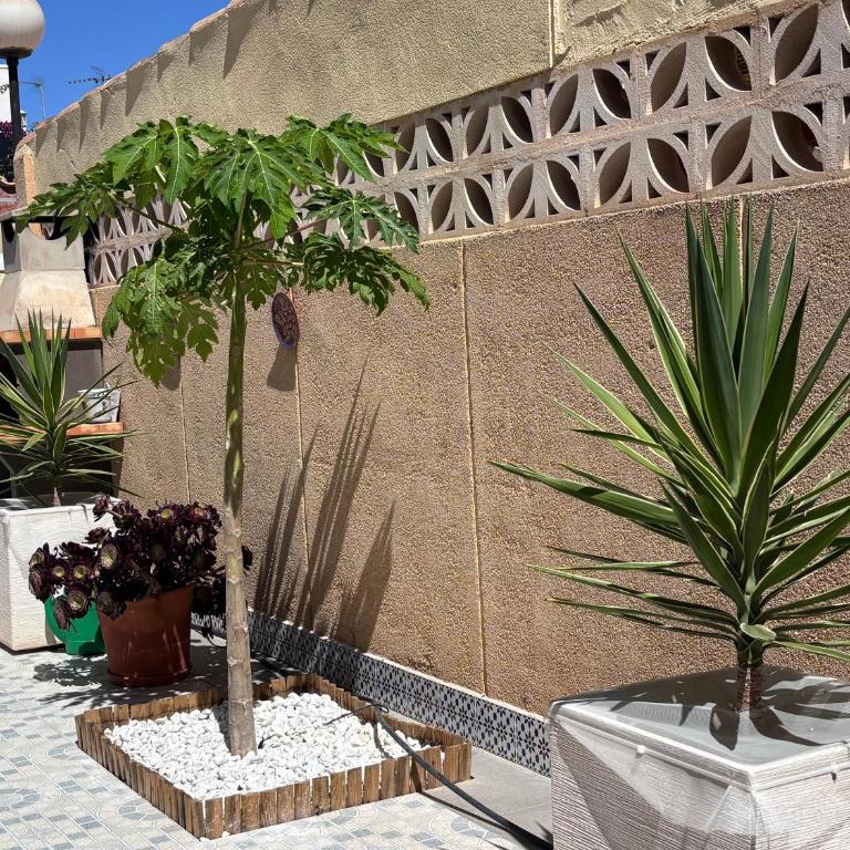 CASA TORRE Y MAR with 2 bedrooms pool barbecue patio & sun terrace - Casa de 2 dormitorios - 19