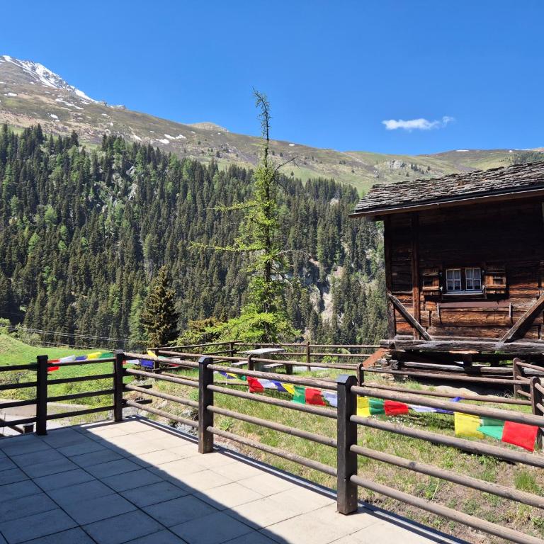 Studios du Valsorey - Studio mit großer Terrasse - 7