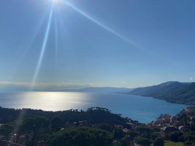 Camogli - Blue Horizon - Liguria Holidays - Appartamento con 2 Camere da Letto - 27