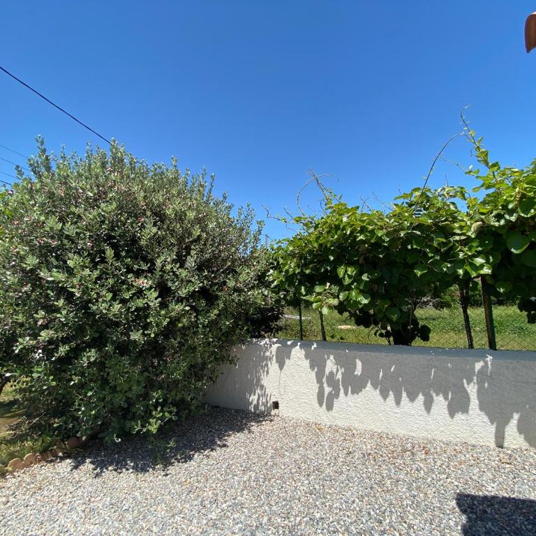 Mas de la Vieille Vigne - Maison 1 Chambre - 26
