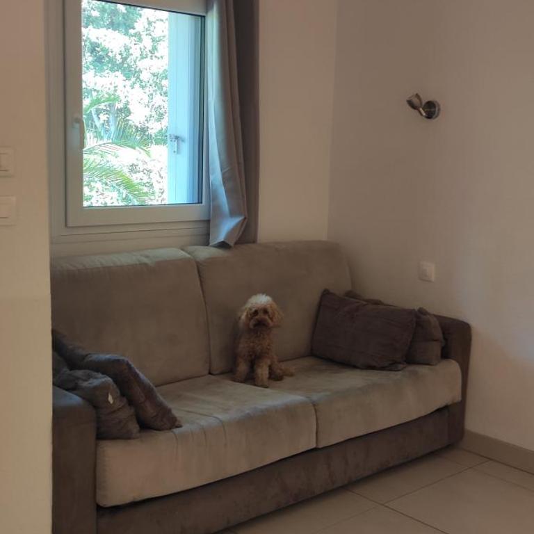 Residence Les Palmiers - Appartement avec Balcon - 5