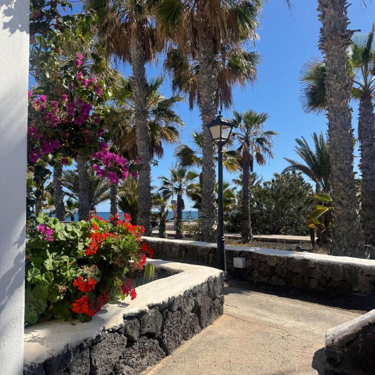 Sweet Bungalow Matagorda - Appartamento con 1 Camera da Letto - 20