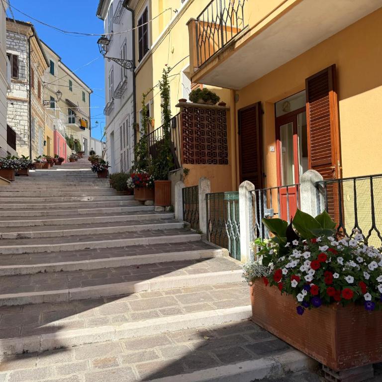 N320 - Numana, deliziosa cielo-terra in centro storico - Appartamento con 2 Camere da Letto - 1