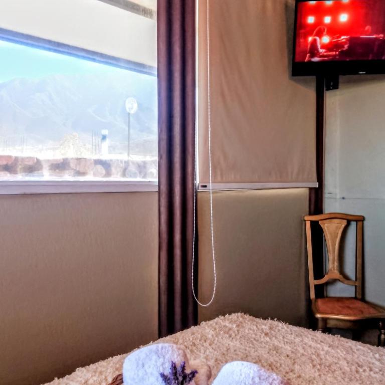 " Petit Box" Habitación Boutique de Diseñador con baño privado en Montaña - Cocheras- Vistas Panorámicas a la Montaña- Sobre Ruta 82 Camino a las Termas de Cacheuta, Alta Montaña , Chile - Experiencia en un contenedor - Apartamento de 1 dormitorio - 42