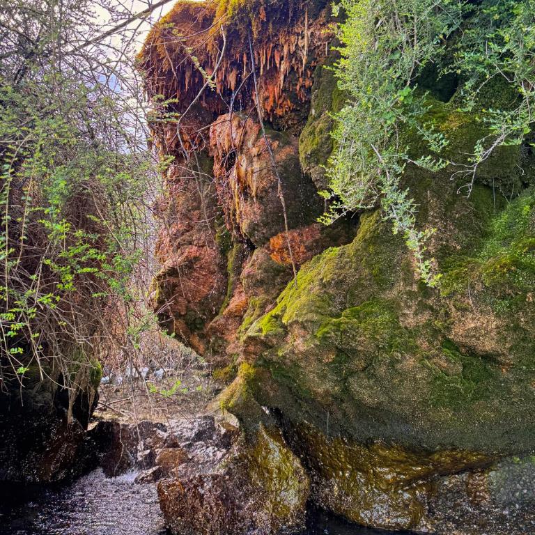 Les sources et grottes secrètes du Léman - Appartement 2 Chambres - Vue sur Lac - 25