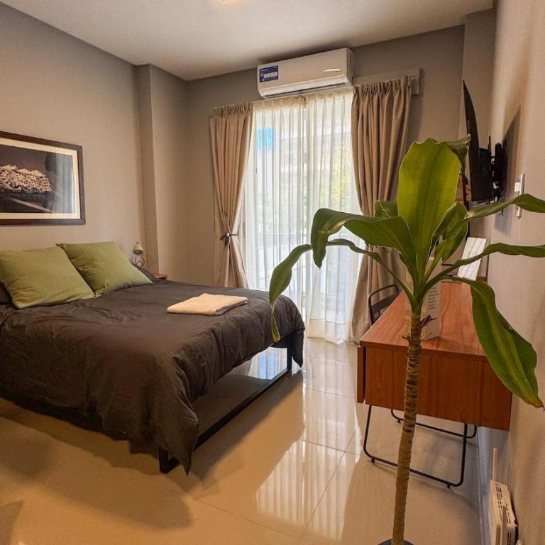 Estudio Boutique - Apartamento de 1 dormitorio - 1