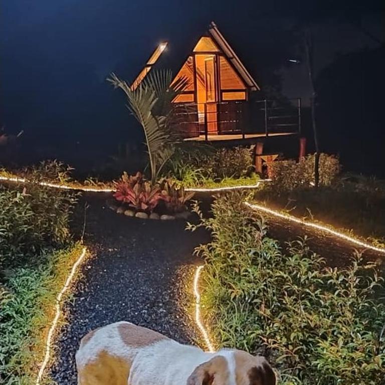 Cabañas tipo glamping - Chalet de 1 dormitorio - 3