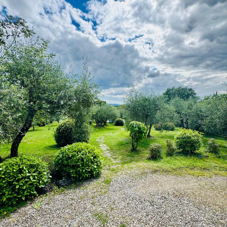 Tuscany Villa Cardella Siena - Villa - 7