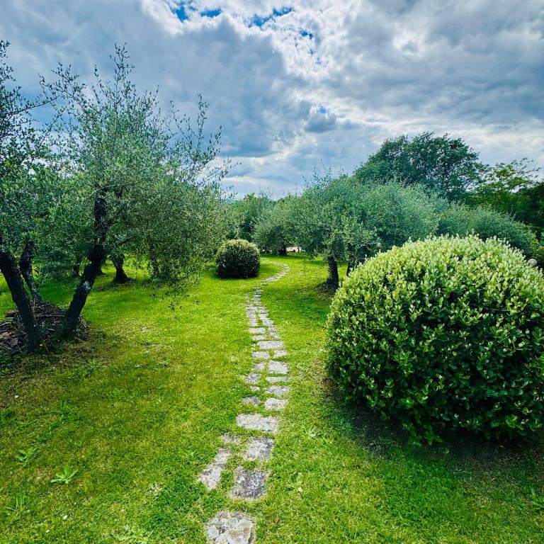 Tuscany Villa Cardella Siena - Villa - 6